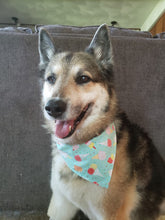 Load image into Gallery viewer, Mint Ice Cream – Snap On Bandana