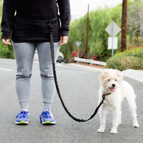 Hands Free Dog Leash Waist Belt Bungee Black Retractable Nylon Lead Run Walk